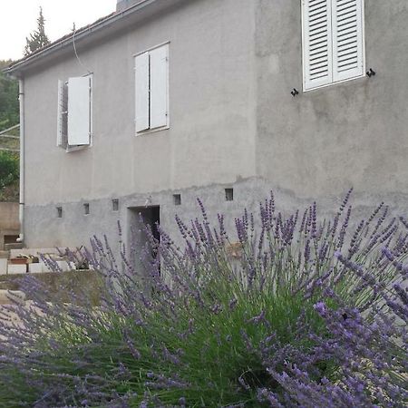 Guest House Authentic Hvar Vrbanj Zewnętrze zdjęcie
