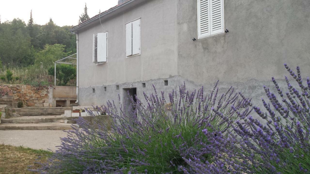 Guest House Authentic Hvar Vrbanj Zewnętrze zdjęcie