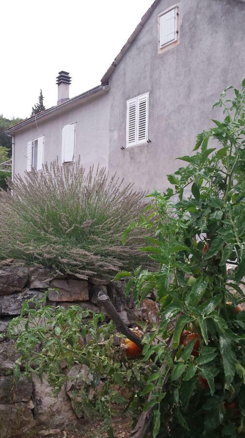 Guest House Authentic Hvar Vrbanj Zewnętrze zdjęcie