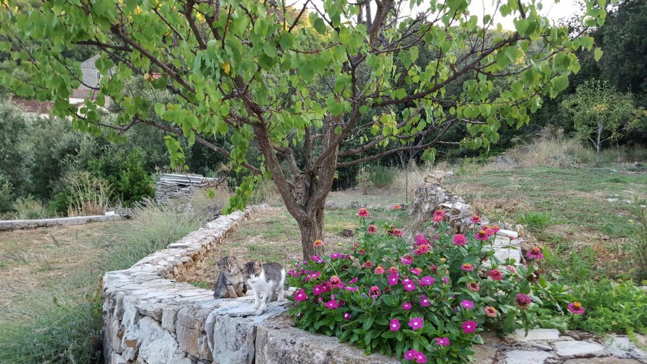 Guest House Authentic Hvar Vrbanj Zewnętrze zdjęcie